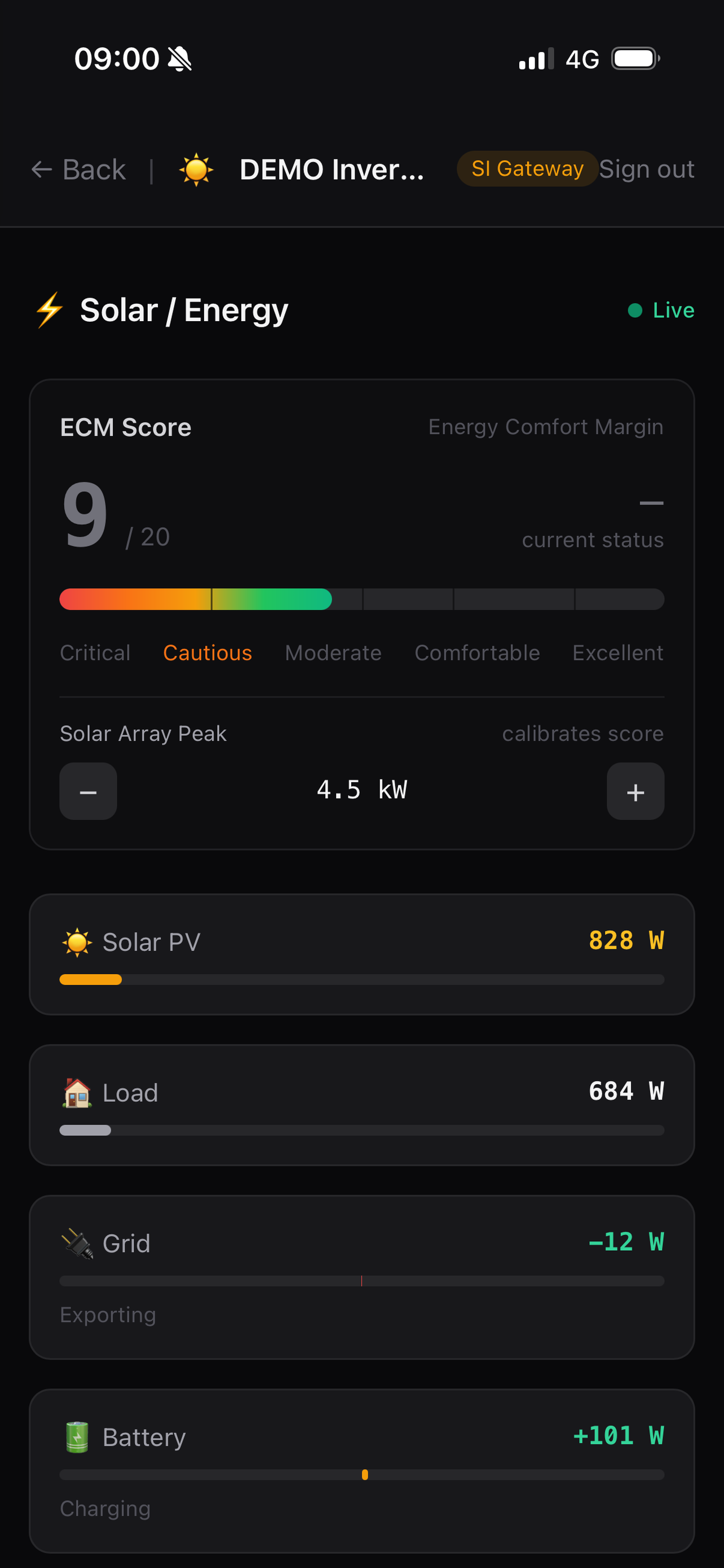 ECM Score — Cautious 9/20